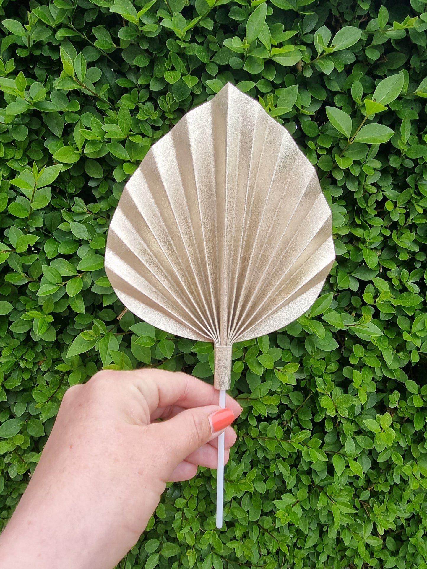 Medium palm spear (Handmade to order)