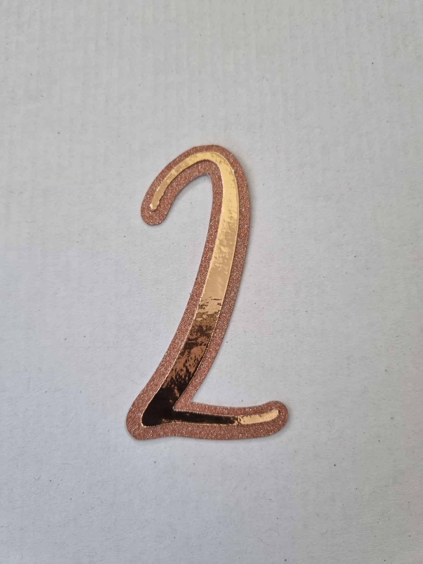 Rose Gold & Pink Palm/Name/Age Set