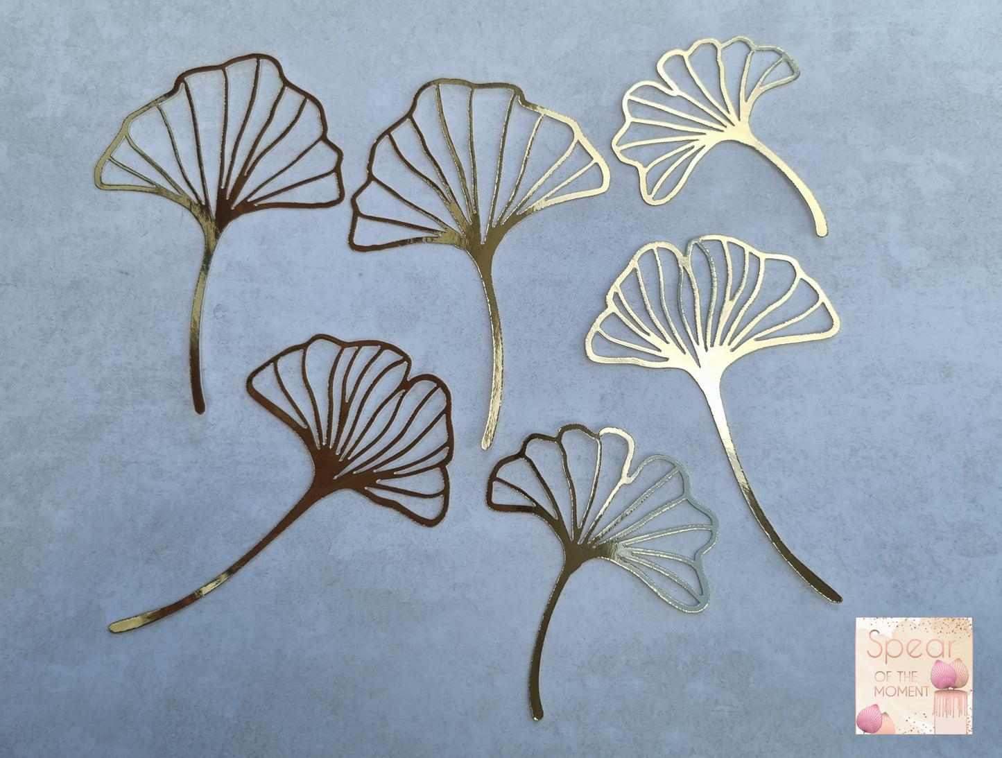 Ginkgo Leaves
